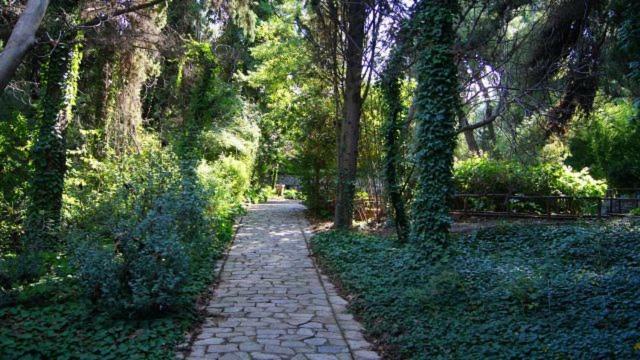 Апартаменты Greek Hospitality 2 Афины Экстерьер фото